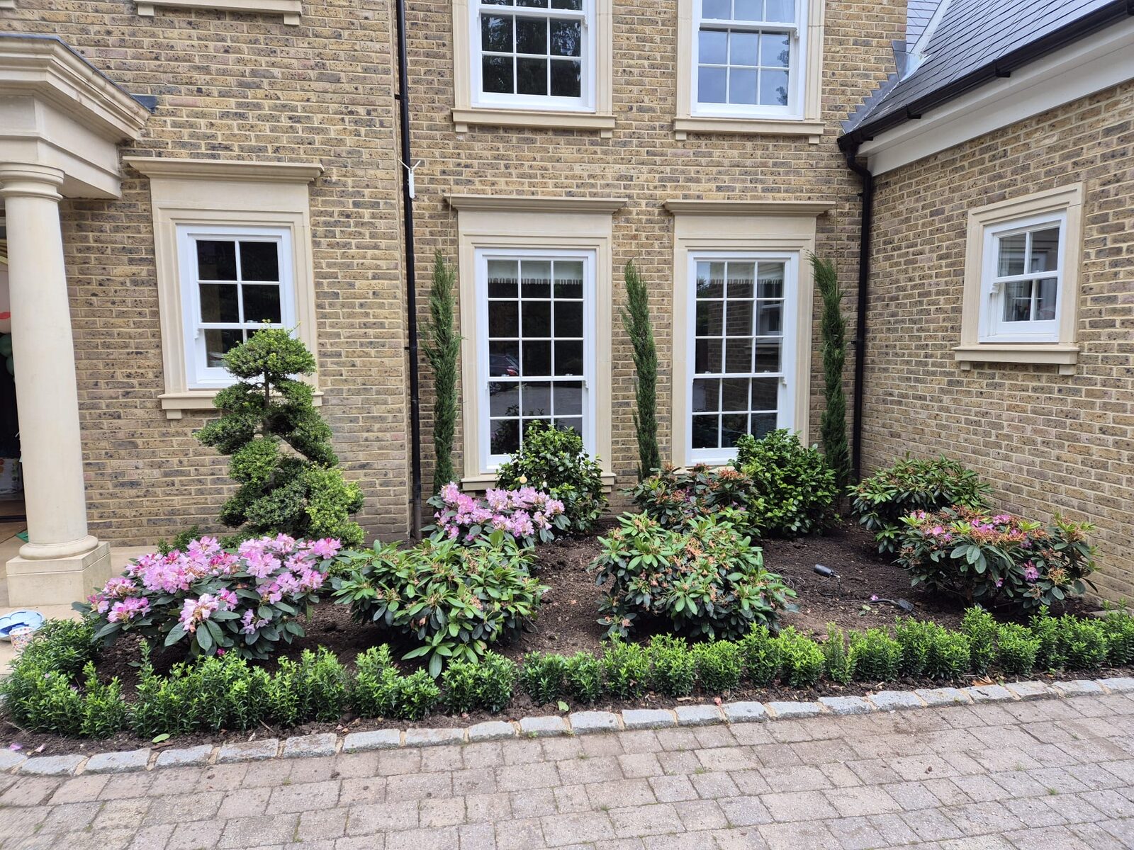 Rhododendron and topiary planting along a house frontage